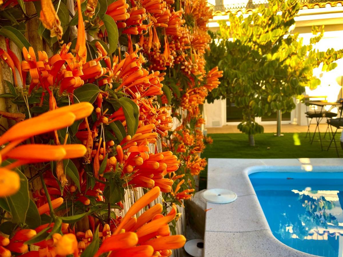 Suite Breeze - Private Heated Pool Màlaga Exteriér fotografie